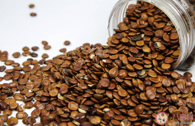 酸棗仁暴漲至千元是誰在炒作 酸棗仁有什么藥用價值 酸棗仁暴漲至千元是誰在炒作 酸棗仁有什么藥用價值