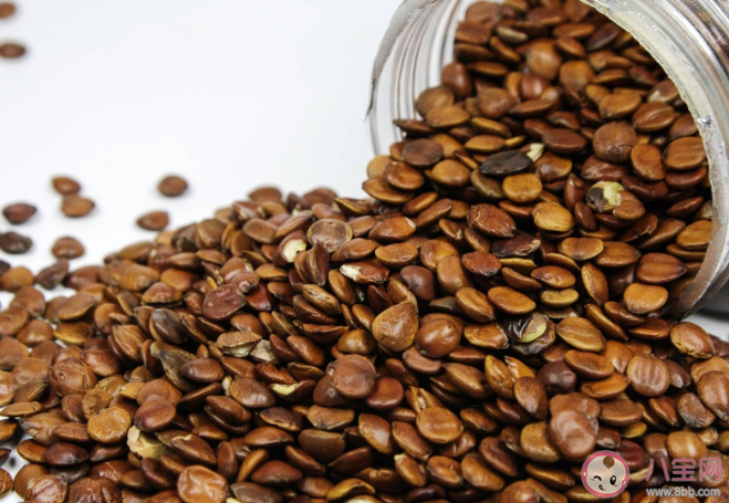 酸棗仁暴漲至千元是誰在炒作 酸棗仁有什么藥用價值 酸棗仁暴漲至千元是誰在炒作 酸棗仁有什么藥用價值