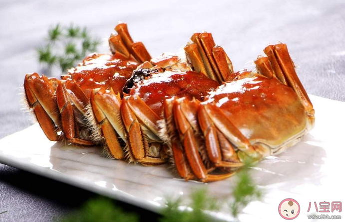 死掉的大閘蟹有多毒 剛死的大閘蟹可以吃嗎 死掉的大閘蟹有多毒 剛死的大閘蟹可以吃嗎