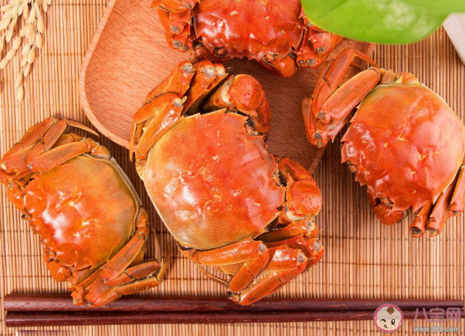 死掉的大閘蟹有多毒 剛死的大閘蟹可以吃嗎 死掉的大閘蟹有多毒 剛死的大閘蟹可以吃嗎