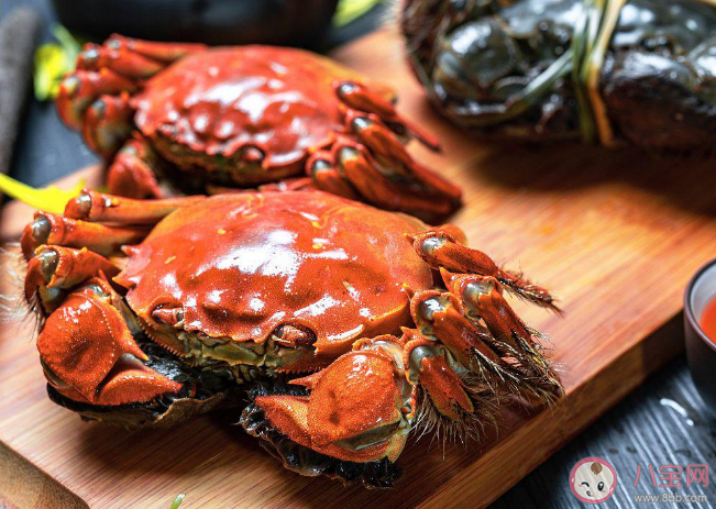 死掉的大閘蟹有多毒 剛死的大閘蟹可以吃嗎 死掉的大閘蟹有多毒 剛死的大閘蟹可以吃嗎