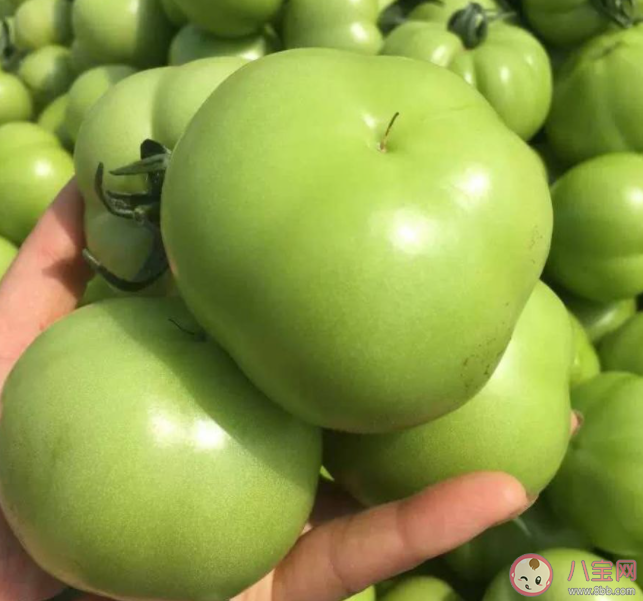 以下哪種秋季水果曾被古人用來染布 螞蟻莊園10月18日答案介紹 以下哪種秋季水果曾被古人用來染布 螞蟻莊園10月18日答案介紹