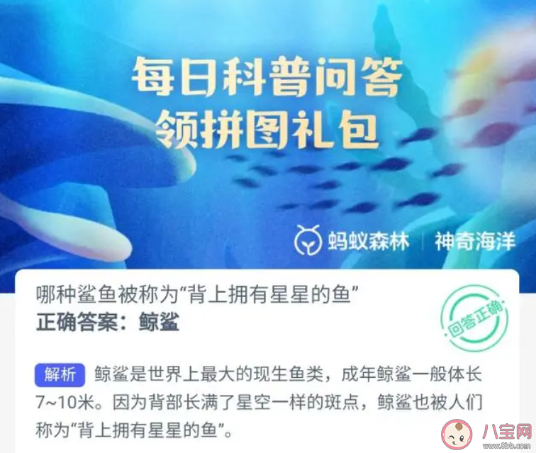 哪種鯊魚被稱為背上擁有星星的魚 神奇海洋10月17日答案 哪種鯊魚被稱為背上擁有星星的魚 神奇海洋10月17日答案