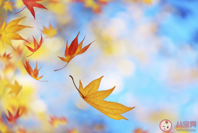 為什么秋天是情緒病高發期 季節性情緒失調怎么辦