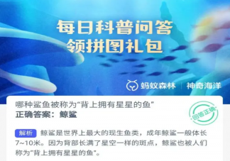 哪種鯊魚被稱為背上擁有星星的魚 神奇海洋10月17日答案