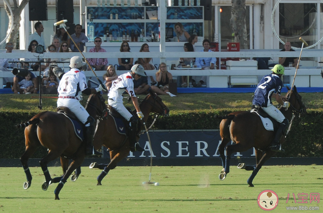 以下哪種傳統運動是國家級非物質文化遺產 螞蟻新村10月18日答案