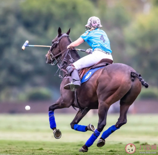 哪種傳統(tǒng)運(yùn)動是國家級非物質(zhì)文化遺產(chǎn) 螞蟻新村10月19日答案