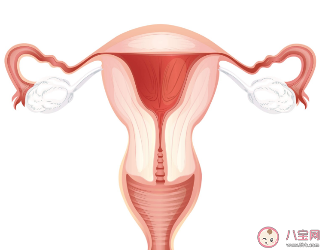 卵巢早衰可以逆轉恢復嗎 卵巢保養重在預防過早衰老