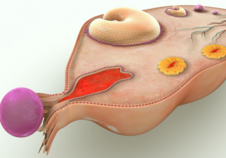 卵巢早衰可以逆轉(zhuǎn)恢復(fù)嗎 卵巢保養(yǎng)重在預(yù)防過(guò)早衰老