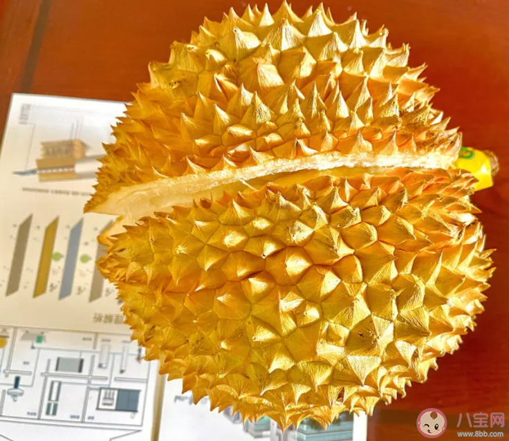 中國一年吃掉八十萬噸榴蓮是真的嗎 榴蓮為什么在中國這么受歡迎