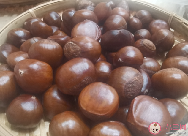 板栗可以生吃嗎 板栗吃了有什么好處