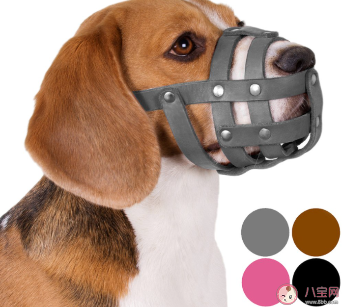 狗嘴套銷量近期倍增部分店鋪賣斷貨 遛狗要注意哪些事情