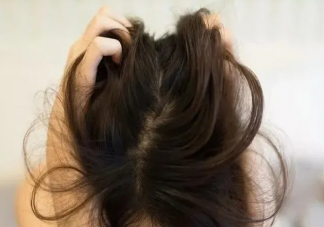 一到秋天脫發(fā)為什么更嚴(yán)重 頻繁剃光頭頭發(fā)會(huì)更濃密嗎