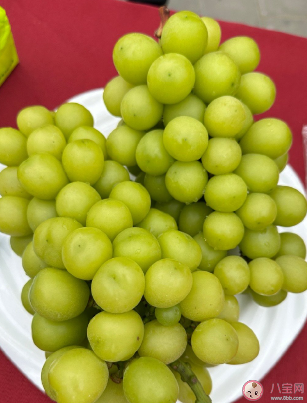 為什么陽光玫瑰變便宜也變難吃了 陽光玫瑰是如何傳入中國的