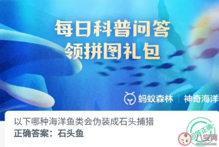 以下哪種海洋魚類會偽裝成石頭捕獵 神奇海洋10月25日答案