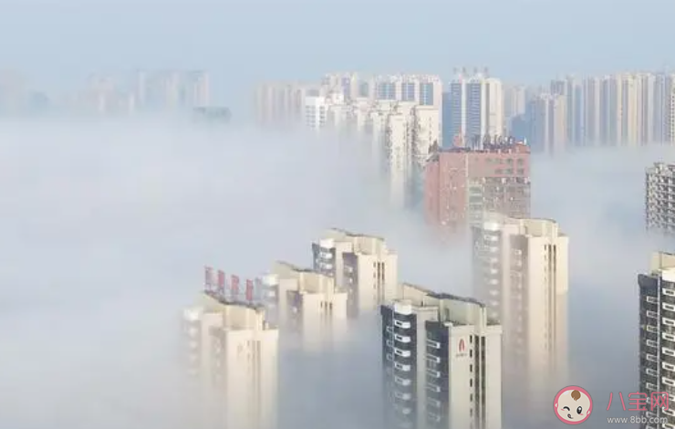 歷史上哪個城市曾多次出現海市蜃樓的景象 螞蟻莊園10月27日答案