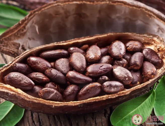 可可漲價巧克力會更貴嗎 可可為什么漲價了