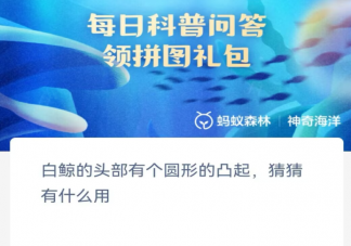 白鯨的頭部有個圓形的凸起猜猜有什么用 神奇海洋10月26日答案
