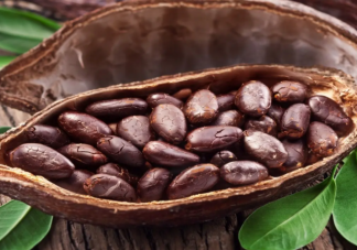 可可漲價(jià)巧克力會(huì)更貴嗎 可可為什么漲價(jià)了