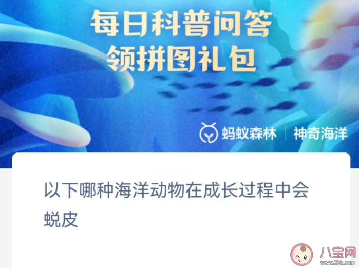 以下哪種海洋動物在成長過程中會蛻皮 神奇海洋10月27日答案