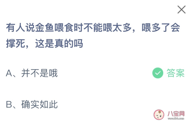 有人說金魚喂食時不能喂太多會撐死這是真的嗎 螞蟻莊園10月28日答案
