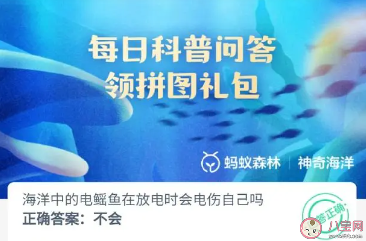 海洋中的電鰩魚在放電時會電傷自己嗎 神奇海洋10月30日答案