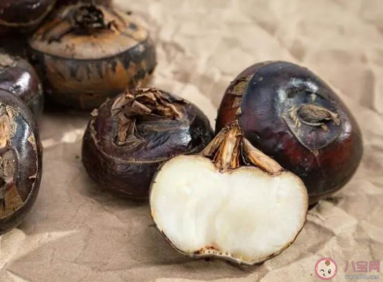 水生食材馬蹄之所以得名是因為哪個部位形似馬蹄 螞蟻莊園11月1日答案 水生食材馬蹄之所以得名是因為哪個部位形似馬蹄 螞蟻莊園11月1日答案