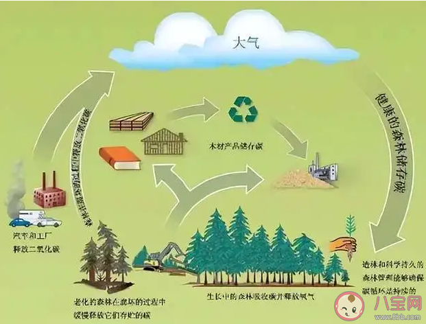 以下哪種職業與森林草原等生態系統的碳匯計有關 螞蟻新村11月2日答案