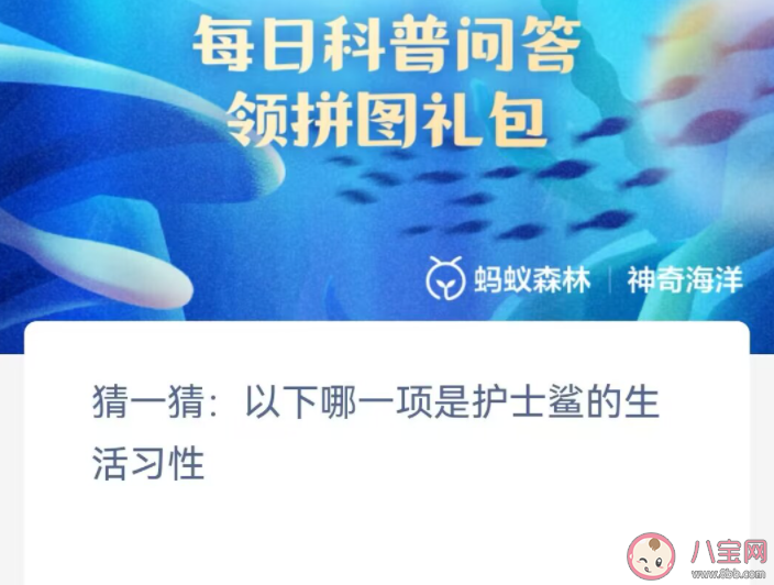 以下哪一項是護士鯊的生活習性 神奇海洋11月6日答案