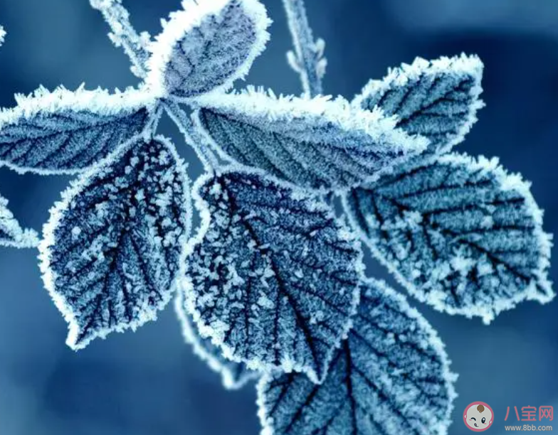 以下哪一項是秋冬季節危害農作物的氣象災害 螞蟻莊園11月7日答案