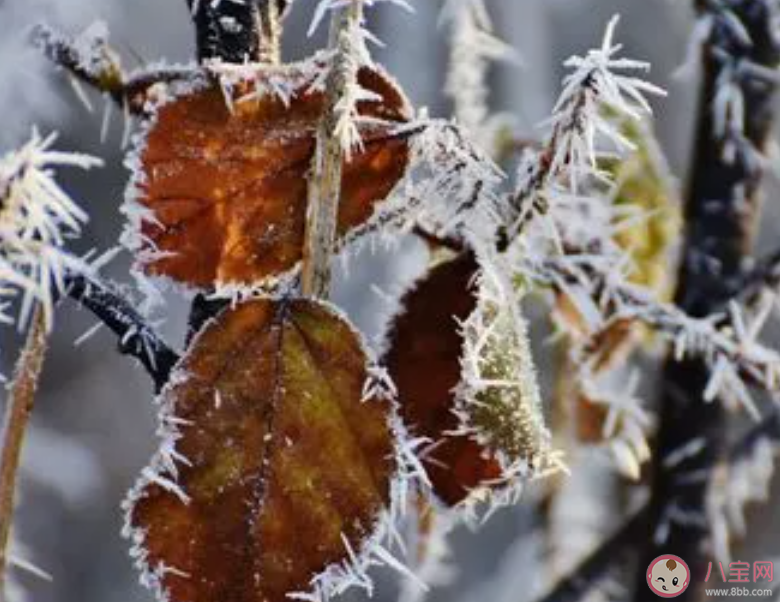 以下哪一項是秋冬季節危害農作物的氣象災害 螞蟻莊園11月7日答案