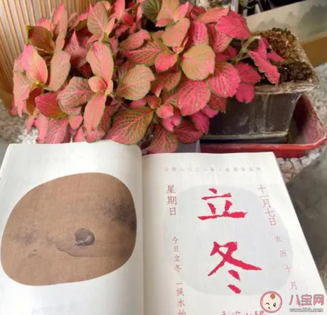 古時有四時八節之說猜猜以下哪個節氣是八節之一 螞蟻莊園11月8日答案