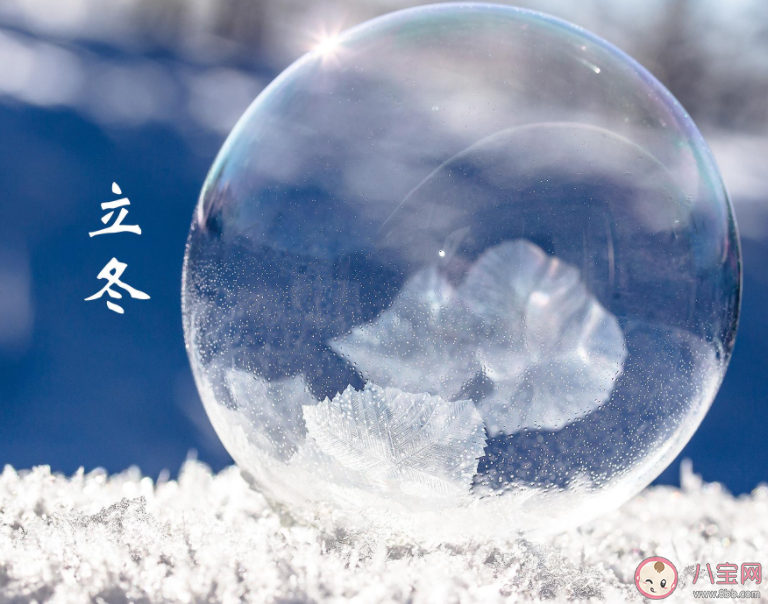 細雨生寒未有霜庭前木葉半青黃描寫的是哪個節氣的景象 螞蟻莊園11月8日答案