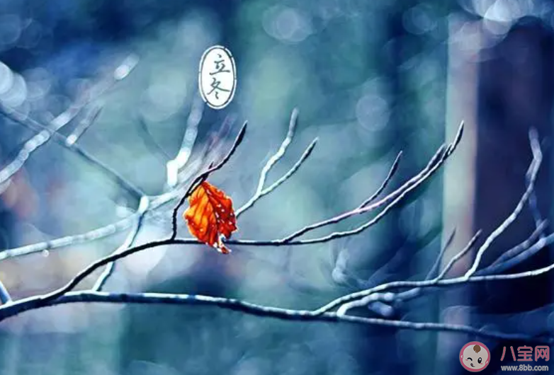 細雨生寒未有霜庭前木葉半青黃描寫的是哪個節氣的景象 螞蟻莊園11月8日答案