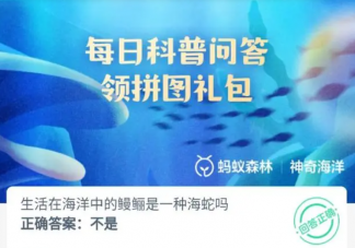 生活在海洋中的鰻鱖是一種海蛇嗎 神奇海洋11月7日答案