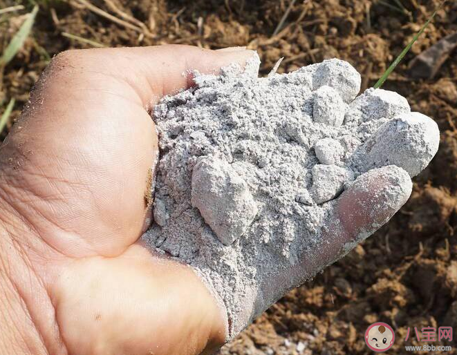 以下哪一項曾被古人當作洗衣粉使用 螞蟻莊園11月9日答案