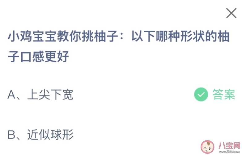 以下哪種形狀的柚子口感更好 螞蟻莊園11月9日答案