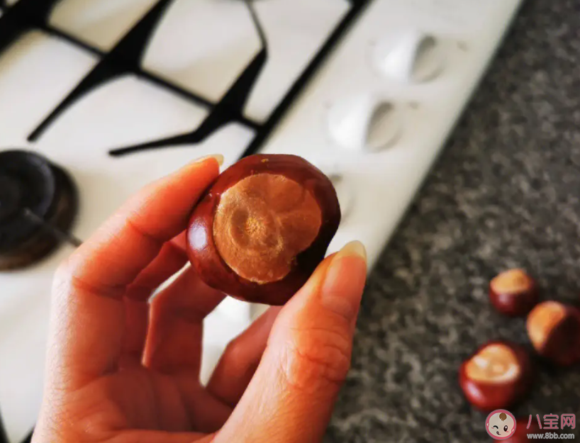 怎么區分板栗和馬栗 馬栗能不能吃