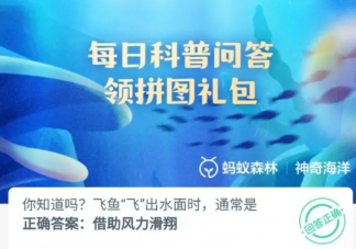 你知道嗎飛魚飛出水面時通常是怎樣的 神奇海洋11月8日答案