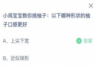 以下哪種形狀的柚子口感更好 螞蟻莊園11月9日答案
