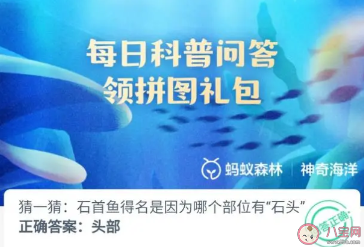 石首魚得名是因為哪個部位有石頭 神奇海洋11月9日答案