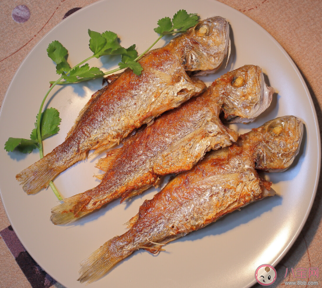 石首魚得名是因為哪個部位有石頭 神奇海洋11月9日答案