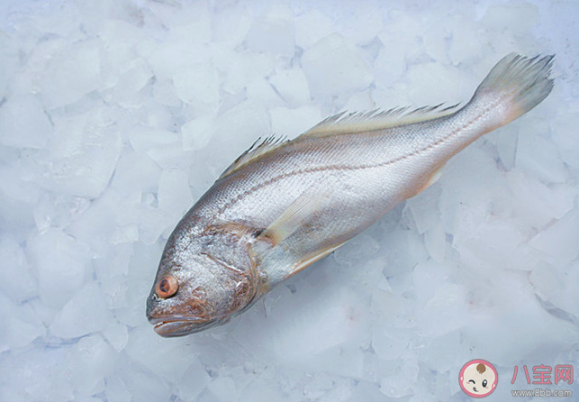 石首魚得名是因為哪個部位有石頭 神奇海洋11月9日答案