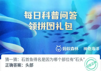 石首魚得名是因為哪個部位有石頭 神奇海洋11月9日答案