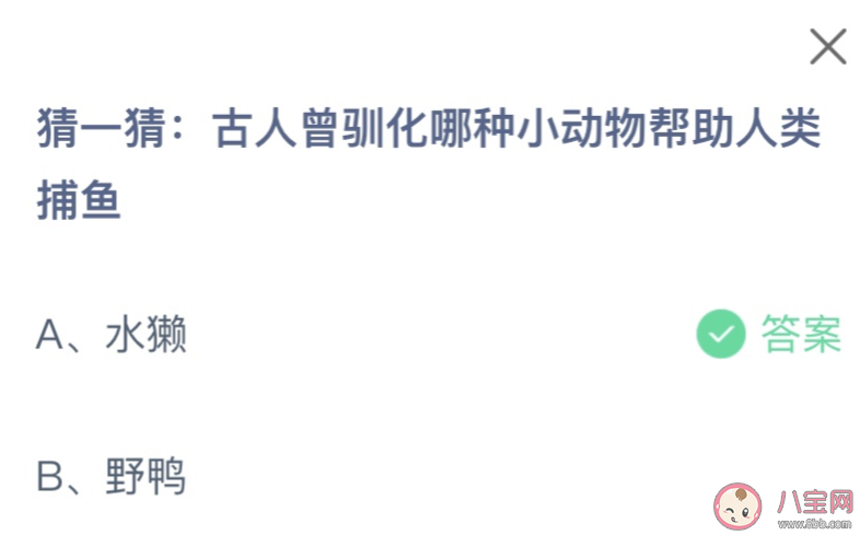 古人曾馴化哪種小動(dòng)物幫助人類捕魚 螞蟻莊園11月11日答案 古人曾馴化哪種小動(dòng)物幫助人類捕魚 螞蟻莊園11月11日答案
