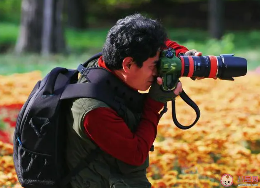 陪拍攝影師的主要工作是什么 螞蟻新村11月11日答案