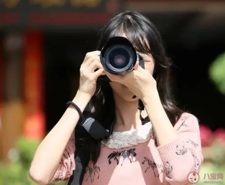 陪拍攝影師的主要工作是什么 螞蟻新村11月11日答案