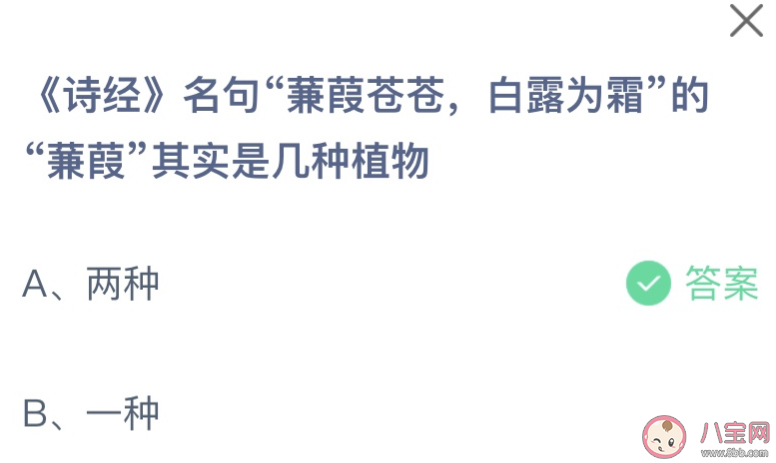 《詩經》名句蒹葭蒼蒼白露為霜的蒹葭其實是幾種植物 螞蟻莊園11月12日答案 《詩經》名句蒹葭蒼蒼白露為霜的蒹葭其實是幾種植物 螞蟻莊園11月12日答案