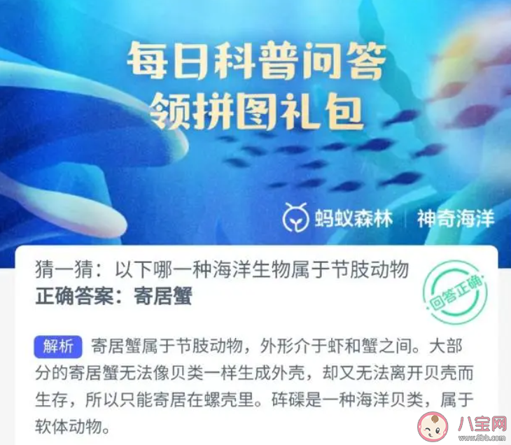 猜一猜以下哪—種海洋生物屬于節(jié)肢動物 神奇海洋11月13日答案