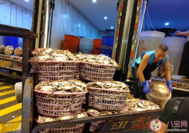 大閘蟹跌出白菜價是什么原因 大閘蟹應該如何挑選 大閘蟹跌出白菜價是什么原因 大閘蟹應該如何挑選